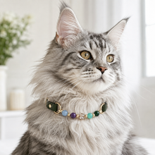 Galaxy Crystal Pet Collar & Matching Bracelet