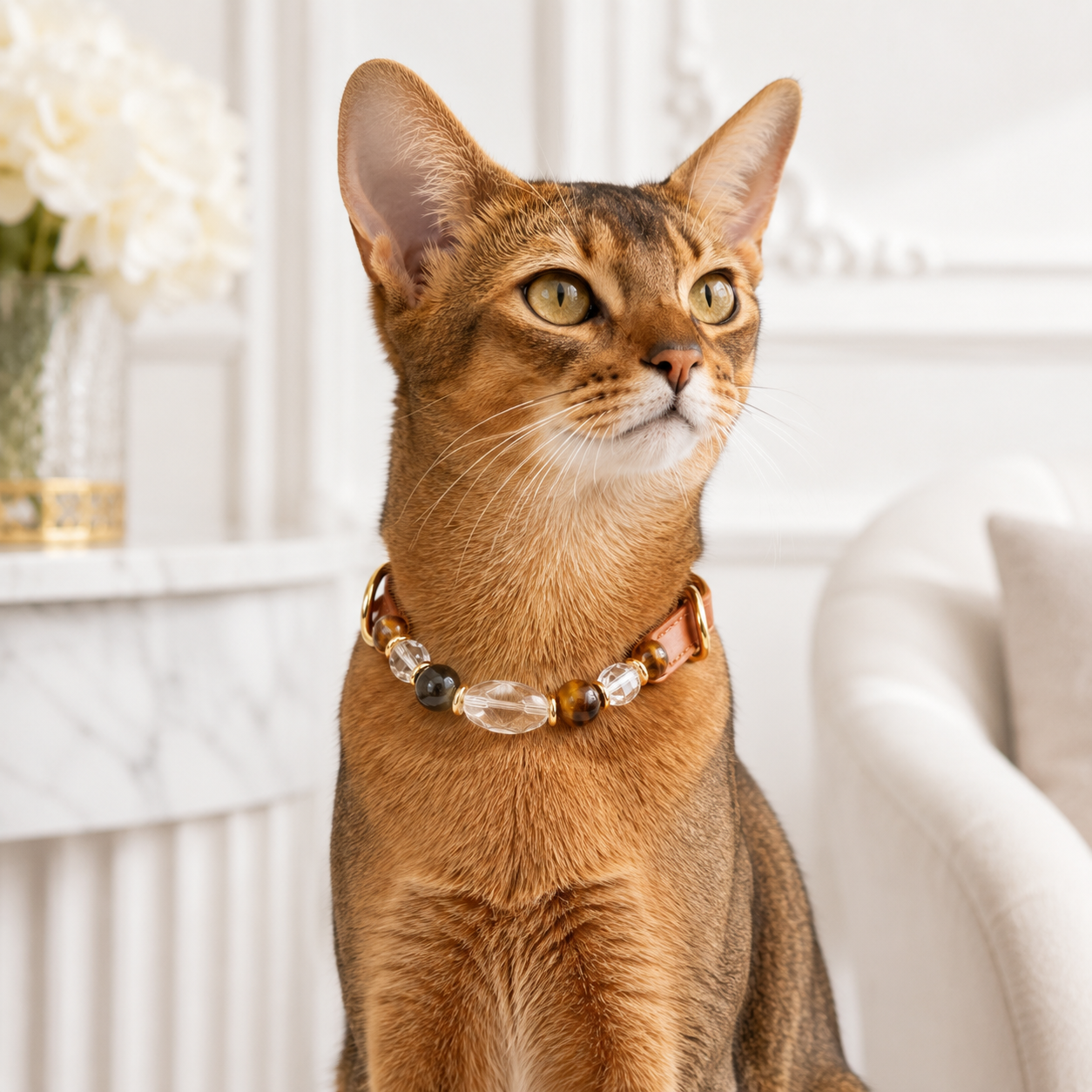 Tiger’s Eye Pet Collar & Matching Bracelet