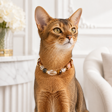 Tiger’s Eye Pet Collar & Matching Bracelet