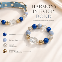 Blue Isle Lapis Lazuli Pet Collar & Matching Bracelet