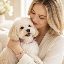 Lavender Amethyst Pet Collar & Matching Bracelet