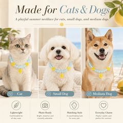 Summer Lemon Crystal Pet Necklace & Matching Jewelry Set for Cats, Dogs and Pet Parents