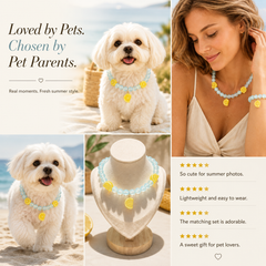 Summer Lemon Crystal Pet Necklace & Matching Jewelry Set for Cats, Dogs and Pet Parents