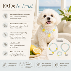 Summer Lemon Crystal Pet Necklace & Matching Jewelry Set for Cats, Dogs and Pet Parents