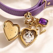 February Amethyst Pet Collar & Matching Necklace