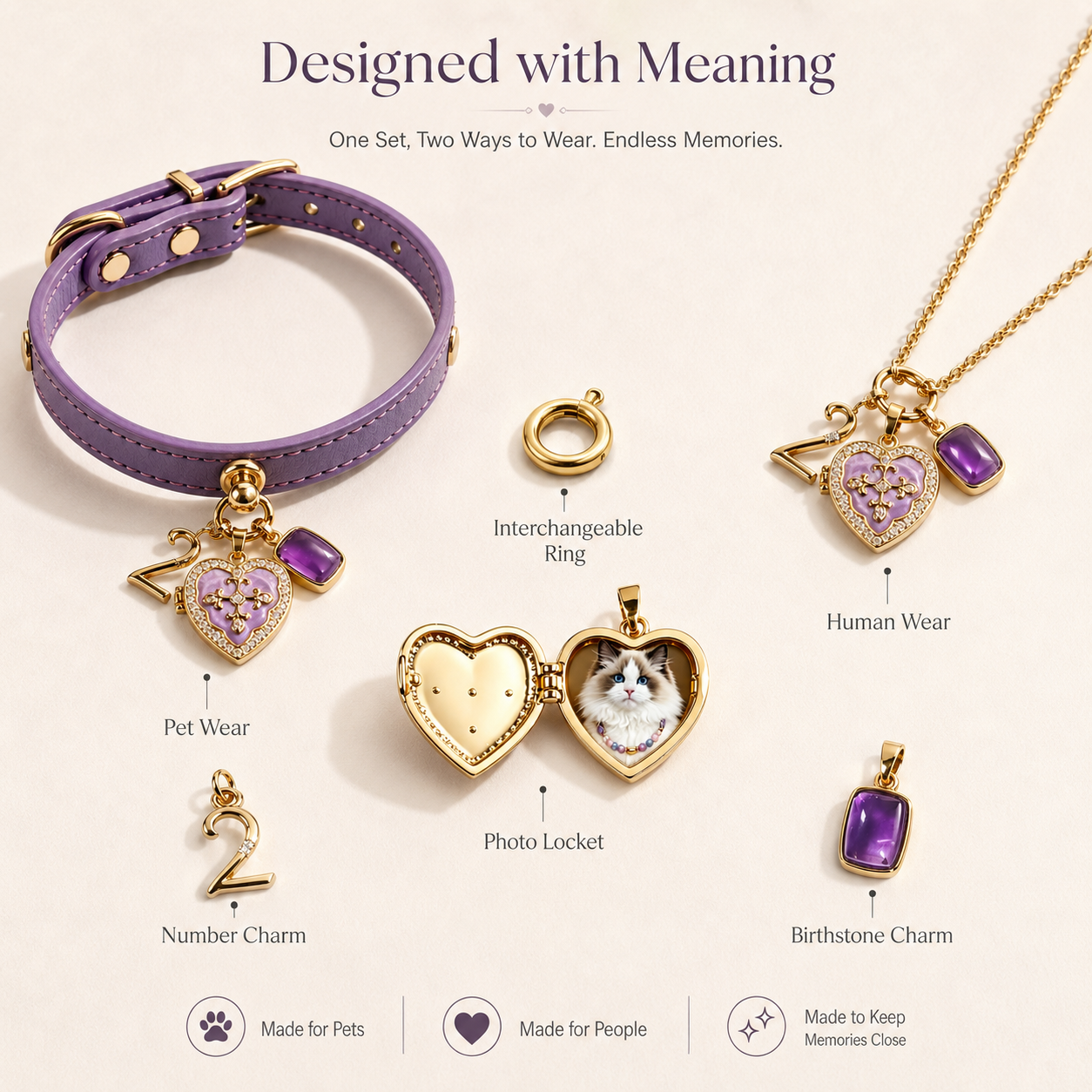February Amethyst Pet Collar & Matching Necklace