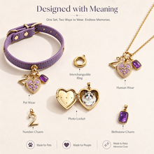 February Amethyst Pet Collar & Matching Necklace
