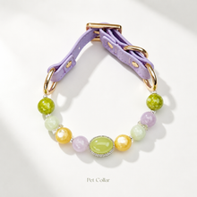 Monet Garden Gemstone Pet Collar & Matching Bracelet