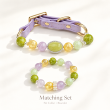 Monet Garden Gemstone Pet Collar & Matching Bracelet