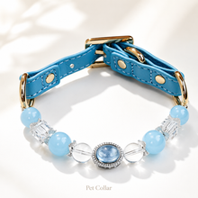 Ice Blue Aquamarine Pet Collar & Matching Bracelet
