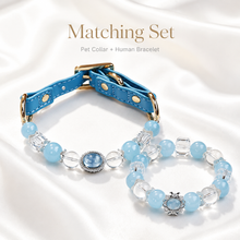 Ice Blue Aquamarine Pet Collar & Matching Bracelet