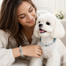 Ice Blue Aquamarine Pet Collar & Matching Bracelet
