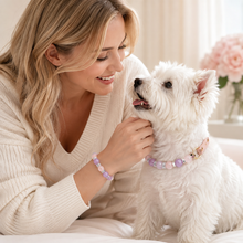 Pink Heart Amethyst & Rose Quartz Pet Collar & Matching Bracelet
