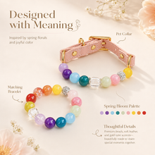 Rainbow Gemstone Pet Collar & Matching Bracelet