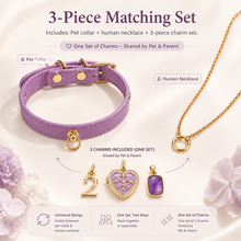 February Amethyst Pet Collar & Matching Necklace