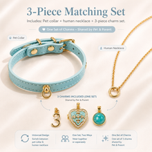 March Amazonite Pet Collar & Matching Necklace